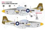 CD48113 P-51D Mustang Air National Guard Teil 2