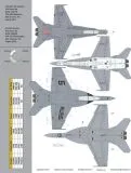 TB48257 F/A-18C Hornet & F/A-18F Super Hornet Demo Jets
