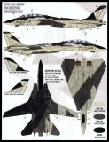 FD&S4815 F-14A Tomcat in Heater-Ferris Schemes