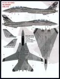 FD&S4815 F-14A Tomcat in Heater-Ferris Schemes