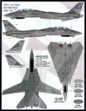FD&S4815 F-14A Tomcat in Heater-Ferris Schemes