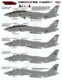 FTD48083 F-14A/B/D Tomcats at War, Teil 1