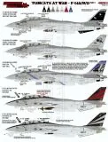 FTD48083 F-14A/B/D Tomcats at War, Teil 1