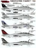 FTD48083 F-14A/B/D Tomcats at War, Teil 1