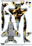 DXM32004 F-15J/DJ Eagle JASDF Aggressors