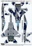 DXM32004 F-15J/DJ Eagle JASDF Aggressors