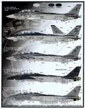 FD&S4818 F-14 Tomcat Colours & Markings Teil 9