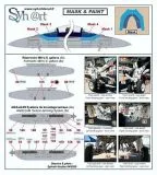 SY72119 EA-18G Growler australische Luftwaffe