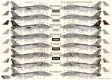 DXM72043 F-14 Tomcat VF-2, VF-11, VF-31, VF-101 & VF-103 Low Visibility