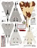 FTD48091 F-14A/B Tomcat VF-1, VF-11, VF-14, VF-24, VF-211