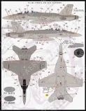 FBD48080 F/A-18E/F Super Hornet & EA-18G Growler Stencils und allgemeine Markierungen