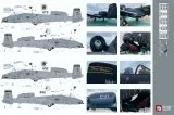 TB37009 A-10C Thunderbolt II 163rd FS Blacksnakes
