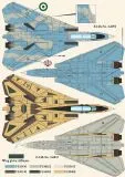 DXM72052 F-14 Tomcat U.S. Navy & iranische Luftwaffe