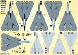 DXM48065 F-14B Upgrade Tomcat VF-103 Jolly Rogers