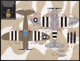 FBD48090 P-47D Thunderbolt Stencils