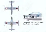 LN72-D21 F-84E/G Thunderjet dänische Luftwaffe frühe/späte Periode