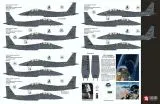 TB48286 F-15E Strike Eagle Black Panthers Drohnen-Killer