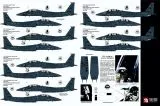 TB72112 F-15E Strike Eagle Black Panthers Drone Killers