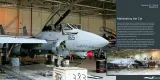 DH-037 Grumman F-14 Tomcat