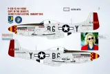 BMA48041 P-51D/K Mustang Yoxford Boys Teil 8