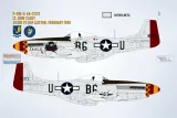 BMA48041 P-51D/K Mustang Yoxford Boys Teil 8
