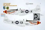 BMA48041 P-51D/K Mustang Yoxford Boys Teil 8