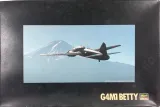 HAQP15 G4M1 Betty & Kamikaze Attack Aircraft Ohka Model 11