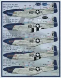 FBD32006 P-51 Mustang Meyer’s Maulers 487th FS Part 1