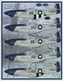FBD32006 P-51 Mustang Meyer’s Maulers 487th FS Part 1