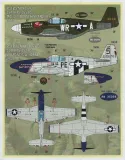 FD&S4835 P-51B/C Mustang Part 2