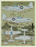 FD&S4835 P-51B/C Mustang Part 2