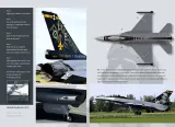 DHD48001 F-16AM Block 20 Fighting Falcon