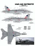 DTD32001 EA-18G Growler CAG Birds