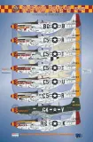 BMA48045 P-51D Mustang Yoxford Boys Part 9