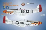 BMA48045 P-51D Mustang Yoxford Boys Teil 9