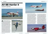 R2RRS11 American Harrier