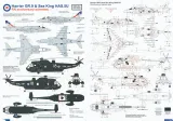 MAL48951 Harrier GR.9 & Sea King HAS.5U Anniversary Schemes RAF & Royal Navy