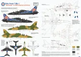 MAL72948 Hawk T.1 Anniversary Schemes RAF
