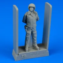 AB48066 Jetpilot sowjetische Luftwaffe