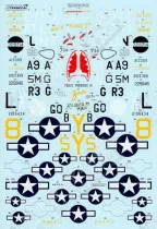 XD72196 70th Anniversary D-Day USAAF