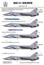HUN48166 MiG-31 Foxhound Russian Air Force