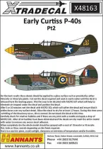 XD48163 Early Curtiss P-40s Part 2