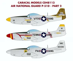 CD48113 P-51D Mustang Air National Guard Part 2