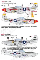 CD48113 P-51D Mustang Air National Guard Part 2