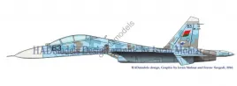 HUN72161 Su-27UB Flanker-C Belarus, Russia, Ukraine