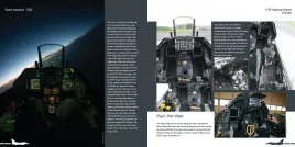 DH-002 F-16 Fighting Falcon