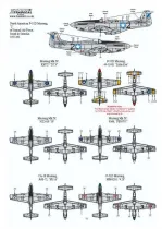 XD72270 P-51 Mustang internationale Luftstreitkräfte Nachkriegszeit