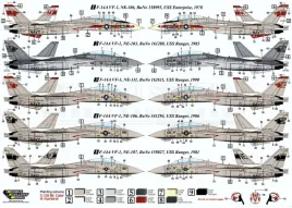DXM32007 F-14A Tomcat VF-1 Wolfpack