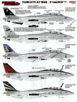 FTD48083 F-14A/B/D Tomcats at War, Teil 1