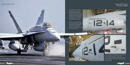 DH-008 Boeing F/A-18 Hornet